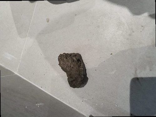 평택 죽백동 하수구막힘 욕실 배수구 주변의 물 고임과 배수 상태를 확인하는 모습